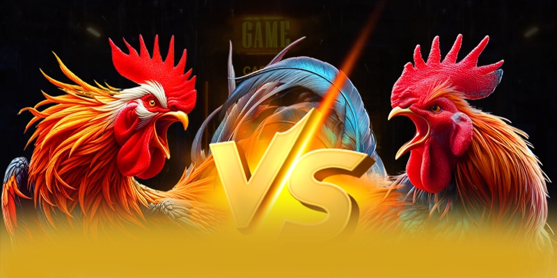 BET168 - Kết luận với góc nhìn khách quan.
